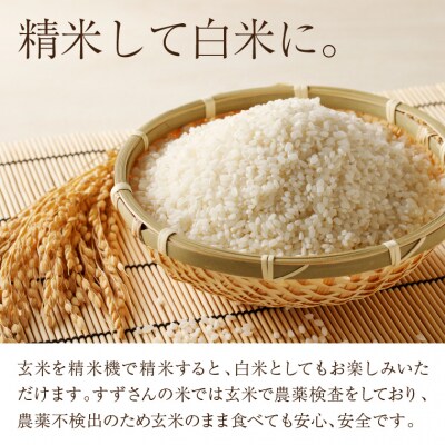 安心・安全なすずさんの米:ミルキークイーン 30kg 玄米