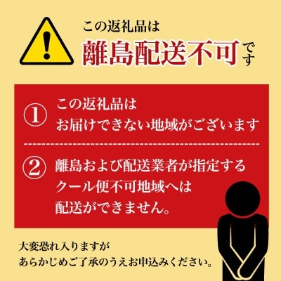 美濃関麦酒 関市の特産品を使ったクラフトビール飲み比べ(2種)6本セット 