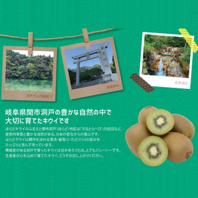 ほらどキウイフルーツとほらタレ・ほらドレ【1月～3月に順次発送】