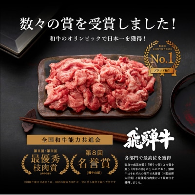 特選飛騨牛【切り落とし】700g(4等級以上・鮮度高い冷蔵)G12-01 