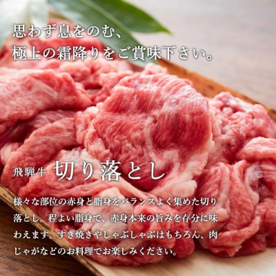 特選飛騨牛【切り落とし】700g(4等級以上・鮮度高い冷蔵)G12-01 
