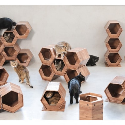 高性能ダンボール材を使った組立式キャットハウス　「CAT CUBE」　