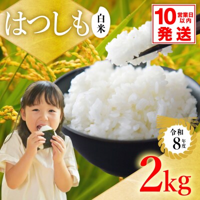 令和8年産 ハツシモ【白米】2kg (1kg×2袋) S19