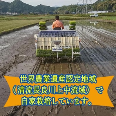 令和7年産 ハツシモ米 【白米】2kg(1kg×2袋) 【12月以降順次発送】S19