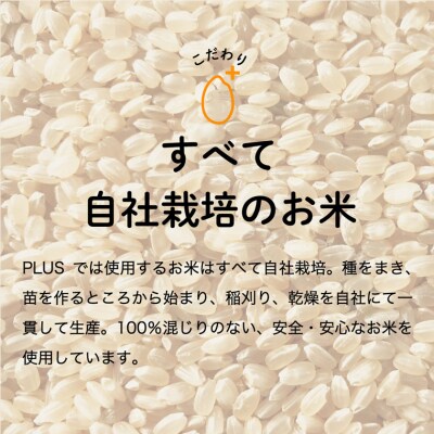 令和8年産 ハツシモ【白米】2kg (1kg×2袋) S19