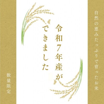 令和8年産 ハツシモ【白米】2kg (1kg×2袋) S19