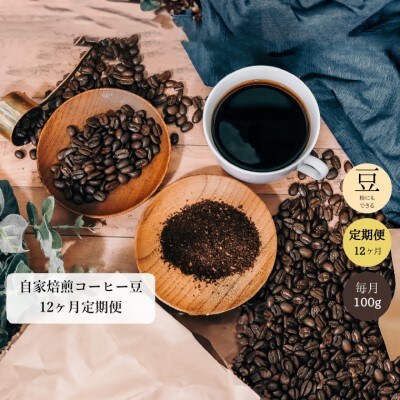 【定期便】 カフェ・アダチ コーヒー豆 飲み比べ 毎月100g×12ヶ月