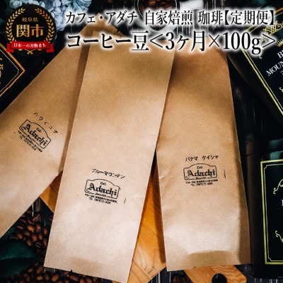 【定期便】コーヒー豆 毎月100g×3ヶ月 パナマゲイシャ ブルーマウンテン ハワイコナ