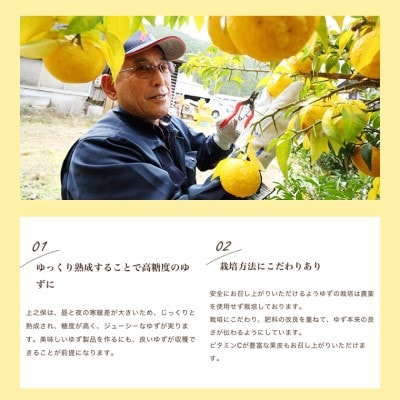 楽しみ方いろいろ! 「ゆずの里上之保」 ゆずちゃ　3個 お湯割り ソーダ割り ジャムとしても使える 
