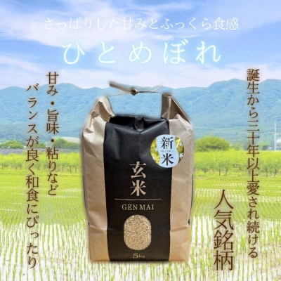 【令和7年産】米 ひとめぼれ 玄米 5kg こめ コメ お米