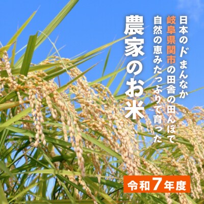 【令和7年産】米 ひとめぼれ 玄米 10kg こめ コメ お米