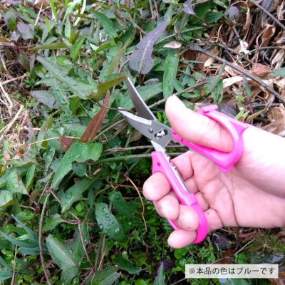 花切専用はさみ 花切かれず　ブルー