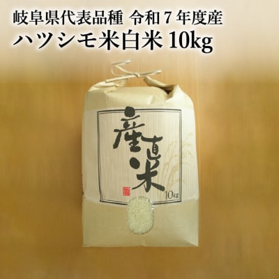 【岐阜県代表品種】令和7年産ハツシモ米　白米10kg【11月20日以降順次発送】