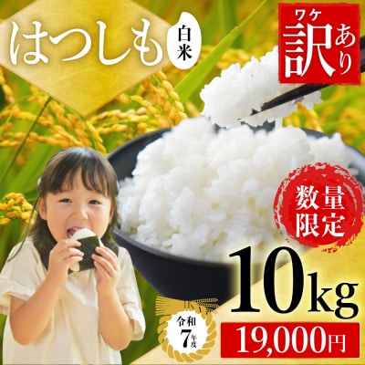 【訳あり】期間限定で寄附額改定!令和7年産 ハツシモ【白米】10kg 数量限定 L8