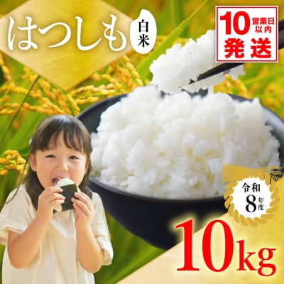 令和8年産 ハツシモ【白米】10kg 数量限定 L8