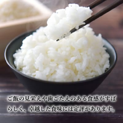 【岐阜県代表品種】令和7年産ハツシモ米　白米10kg【11月20日以降順次発送】