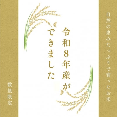 令和8年産 ハツシモ【白米】10kg 数量限定 L8