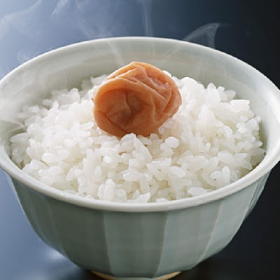 【岐阜県代表品種】令和7年産ハツシモ米　白米10kg【11月20日以降順次発送】