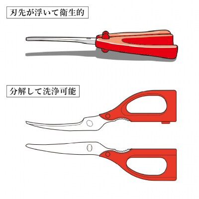 手に優しいキッチンバサミ　キッチンハサミ　食洗機対応　分解洗浄　高齢者使用しやすい