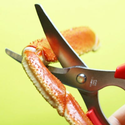 かにはさみ　カニハサミ　かにハサミ　かに鋏　