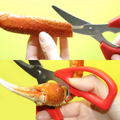 かにはさみ　カニハサミ　かにハサミ　かに鋏　