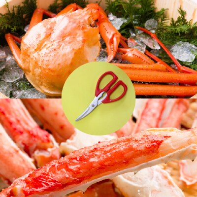 かにはさみ　カニハサミ　かにハサミ　かに鋏　