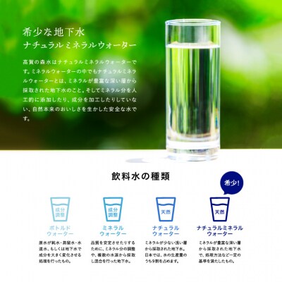 【定期便 12ヶ月】高賀の森水 576本(500ml24本入2ケース×12ヶ月)