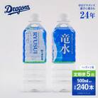 【定期便5ヶ月】竜水　計240本　(500ml×24本入2ケース×5ヶ月)