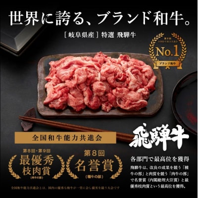 【4月～6月発送】特選飛騨牛【切り落とし】700g