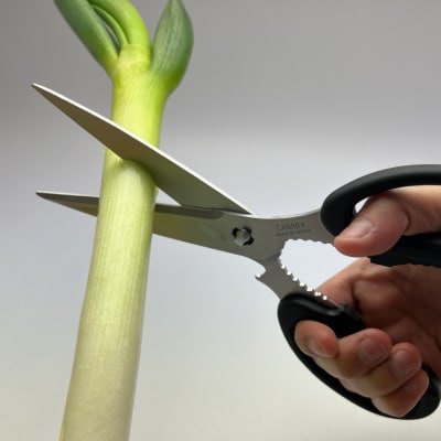 キッチンハサミEL ロング/多機能　長い　分解　食洗器　ステンレス　キッチン　調理器具