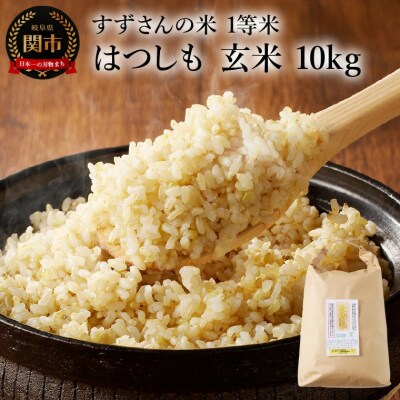 玄米10kg 安心・安全なすずさんの米 1等米のはつしも米/大粒　和食  お米　岐阜県関市
