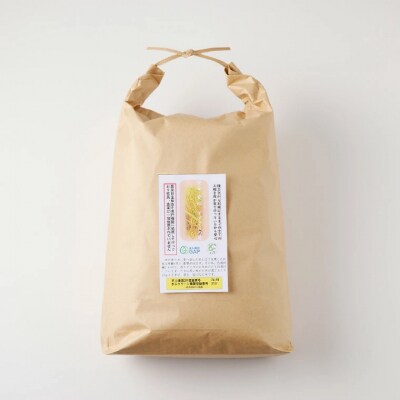 玄米10kg 安心・安全なすずさんの米 1等米のはつしも米/大粒　和食  お米　岐阜県関市