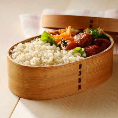 玄米5kg 安心・安全なすずさんの米 1等米のはつしも/大粒　和食  お米　岐阜県関市