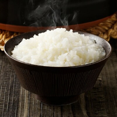 精米4.5kg 安心・安全なすずさんの米 1等米のはつしも米/ハツシモ米  お米　岐阜県関市