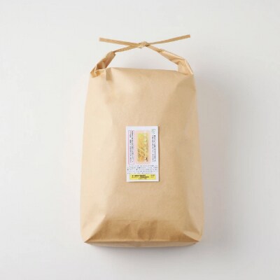 精米4.5kg 安心・安全なすずさんの米 1等米のはつしも米/ハツシモ米  お米　岐阜県関市