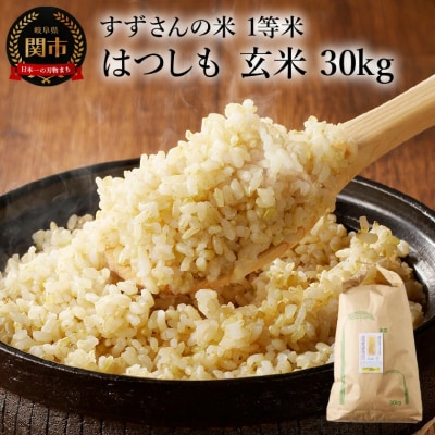 玄米30kg(30kgx1袋)安心・安全なすずさんの米 1等米のはつしも/大粒　和食  お米　関市