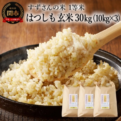 玄米30kg(10kgx3袋)安心・安全なすずさんの米 1等米のはつしも/大粒　和食  お米　関市