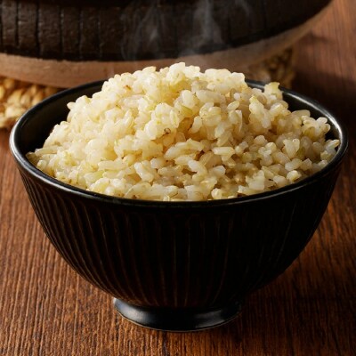 玄米30kg(10kgx3袋)安心・安全なすずさんの米 1等米のはつしも/大粒　和食  お米　関市