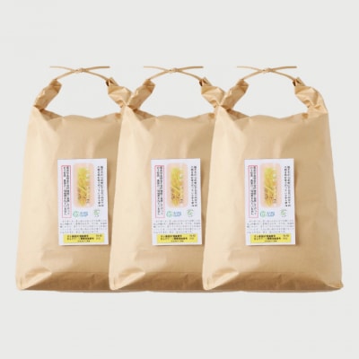 玄米30kg(10kgx3袋)安心・安全なすずさんの米 1等米のはつしも/大粒　和食  お米　関市