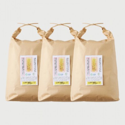 玄米30kg(10kgx3袋)安心・安全なすずさんの米 1等米のはつしも/大粒　和食  お米　関市