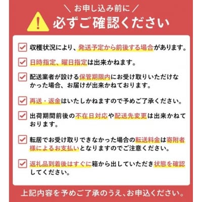【令和8年先行予約】朝採れ・農家直送!とうもろこし10本(恵みゴールド)