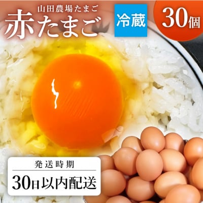 【期間限定30日以内発送!】山田農場たまごの赤たまご30個(27個+割れ保証3個)冷蔵