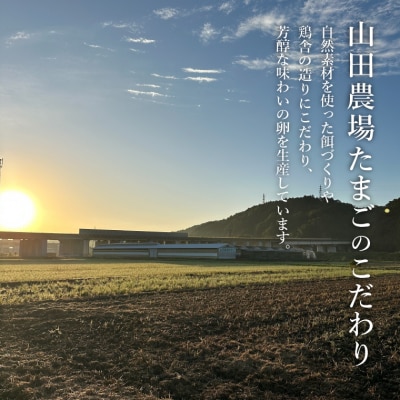 【期間限定30日以内発送!】山田農場たまごの赤たまご30個(27個+割れ保証3個)冷蔵
