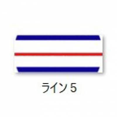 【イラスト付き:ライン5】TOUR B XS コーポレート1ダース 2026年モデル ゴルフボール
