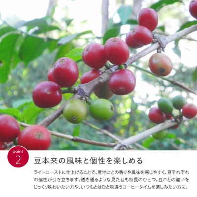 【定期便】ライトローストコーヒー3種セット　コーヒー豆　各30gx3ヶ月<粉にもできます>珈琲