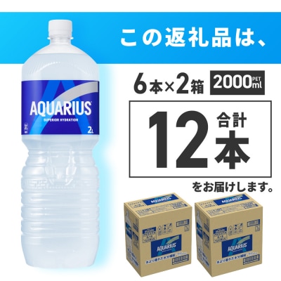 アクエリアス 2000ml PET×12本 ペットボトル 2箱 _hs137-003