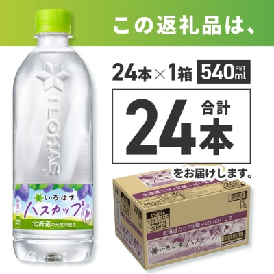 い・ろ・は・す ハスカップ　540mlPET×24本_hs137-040