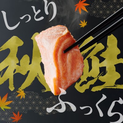 秋鮭フィレ姿切身_hs027-013