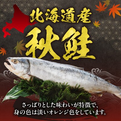 秋鮭フィレ姿切身_hs027-013