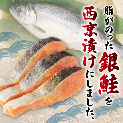 銀鮭骨取切身西京漬け_hs027-014